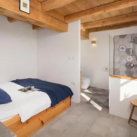 Flavia - Stunning In Istria, Croatia Villa Umag